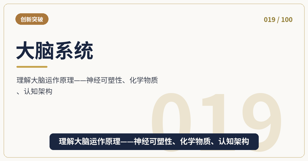 大脑系统